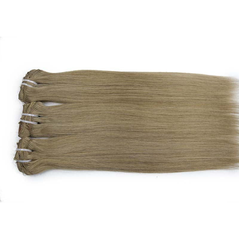 8 Clip in Virgin Hair Extensions
