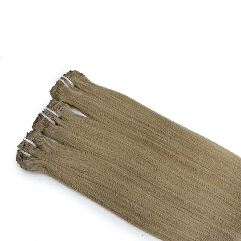 8 Clip in Virgin Hair Extensions