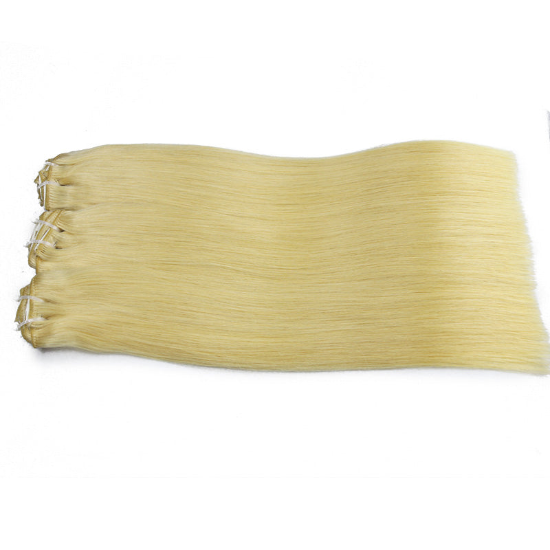 #613 Clip in Raw Hair Extensions