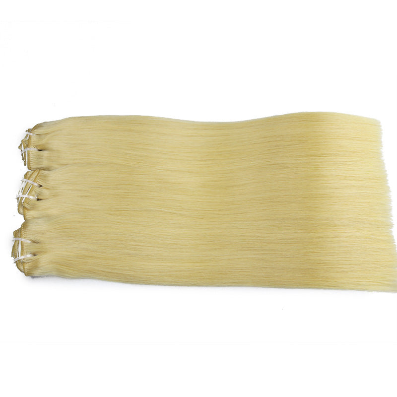 #613 Clip in Raw Hair Extensions